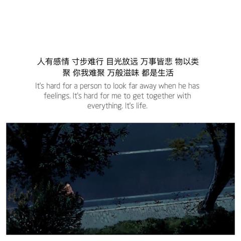 惊艳的摘抄文案（普普通通却很惊艳的说说）