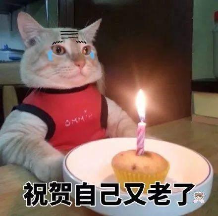 生日文案精辟短句（祝自己生日快乐的句子发朋友圈金句）