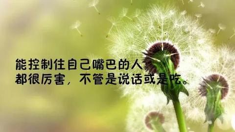 唯美哲理文案（哲理句子人生感悟摘抄）