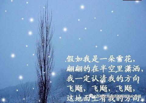 关于下雪天的情话（下雪天发朋友圈的精美句子语句）