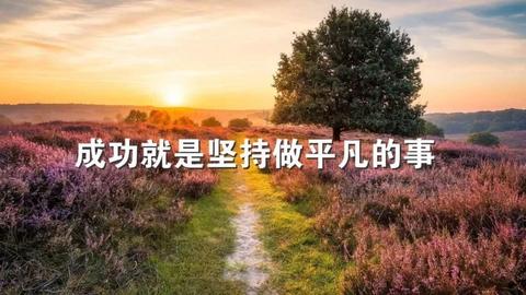 提现阳光开朗的句子（心向阳光积极向上的摘抄）