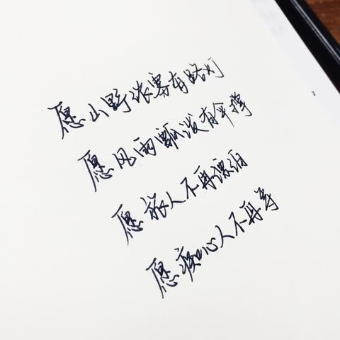 简短文艺小清新8字短句（文艺清新的句子佳句）