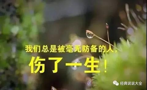 伤感的句子说说心情（让人心碎的短句长句）