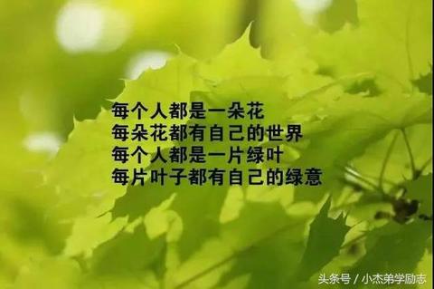 感悟人生正能量的句子（人生感悟正能量的经典语句短句）