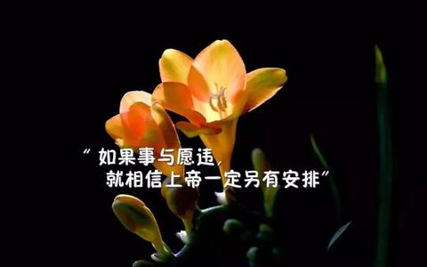 励志温柔到爆的神仙句子（阳光语录励志的问候语）