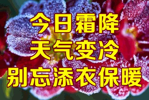 霜降节文案（霜降的唯美语录）