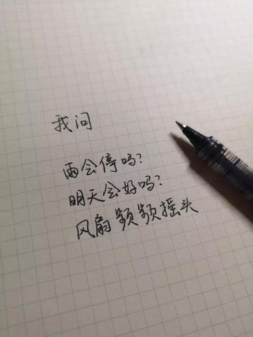 简介文案短句可爱（可爱到爆的俏皮句子8个字优美）