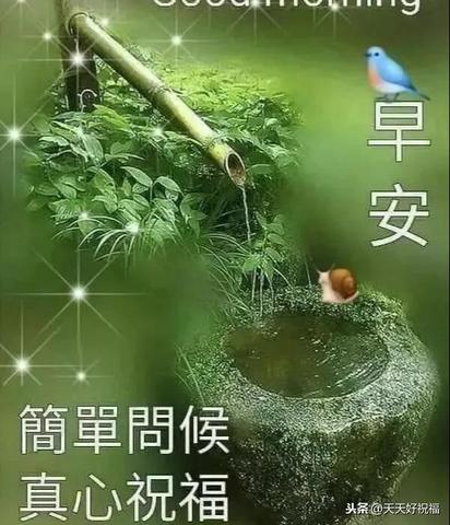 早安独一无二的霸气句子（女人早安心语正能量励志语录名言）