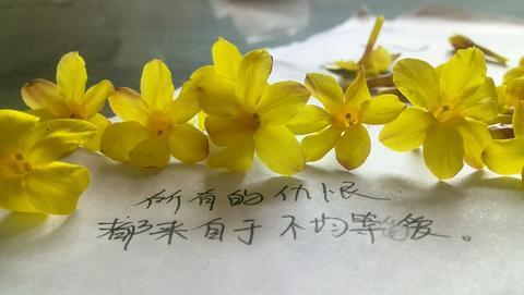 形容花花世界扰乱人心的句子（形容花花世界花花人心的祝福语）