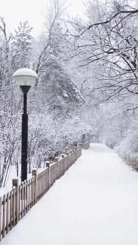 欣赏雪景的句子（赞美雪景的唯美短句赠言）