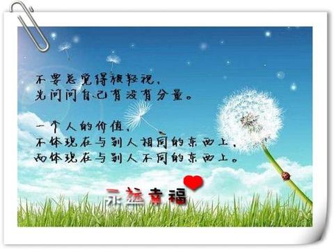 关于教养的句子经典语录（关于教养的名言警句问候语）