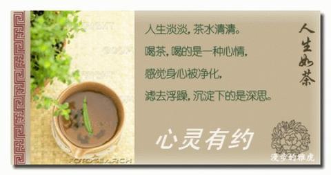 人生就像一杯茶经典语录（茶语人生经典句子感悟短文）