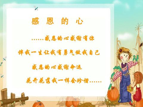 充满感恩的句子（感恩20字精辟）