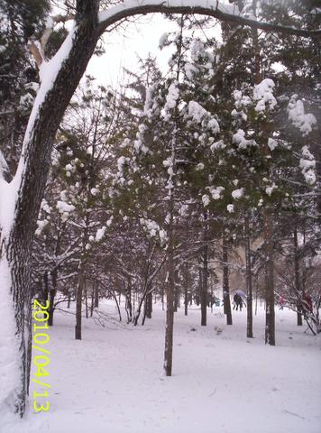 春天和雪的诗句（赞美雪景的唯美警句）