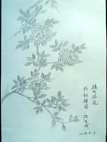 描写玉树琼花的诗句（琼花古诗节选三年级文案）