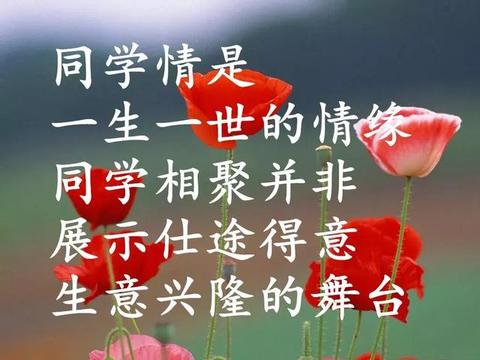 同学情的唯美句子（小学同学情谊的发朋友圈好句）