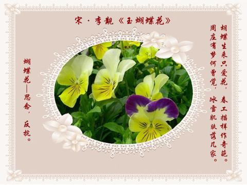 关于赞美百花的诗句（赞美花朵的优美书摘）