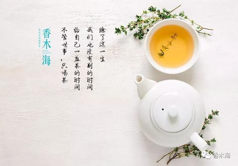 关于茶的简短唯美句子英文（文案）