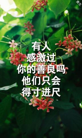 赞美眉毛的句子经典语句（夸人眉毛的佳句）