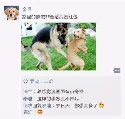 养狗的心情说说（关于狗狗的心情优美）