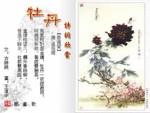 牡丹花诗句最出名诗句（形容牡丹花漂亮唯美的优美）