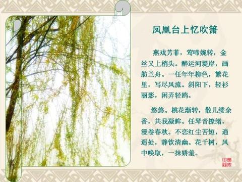 秋天湖边柳树诗词（柳树有关的古有哪些大全）