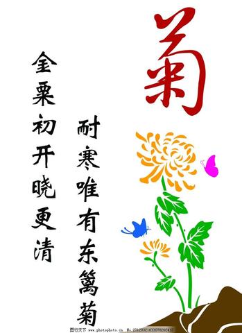 赞美菊花的优美句子简短（发朋友圈赞美菊花的书摘）