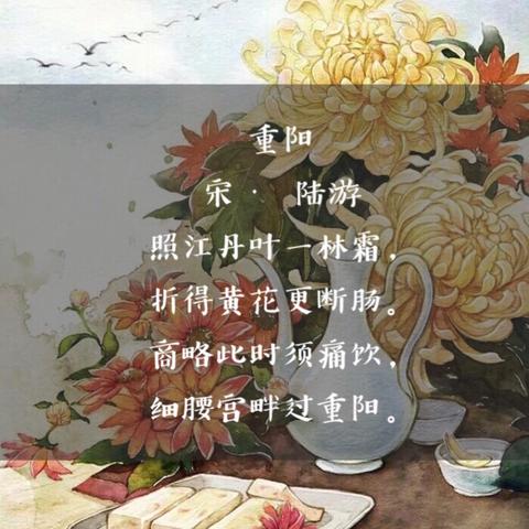 关于重阳节诗词（重阳节的古诗30首摘抄）