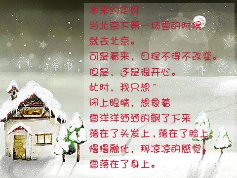 描写大雪纷飞的经典诗句（描写大雪纷飞的唯美寄语）