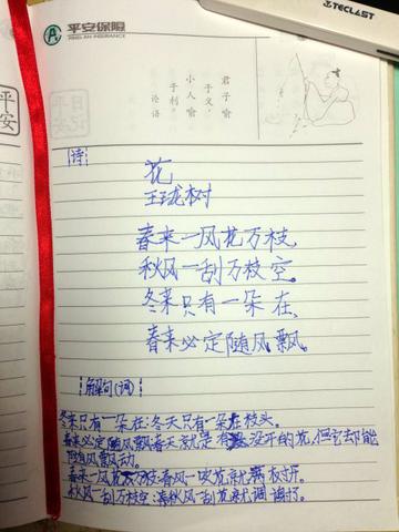 描写芍药花的优美句子100字（赠言）