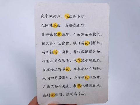 高情商夸人漂亮的句子（高情商夸人漂亮的语句）