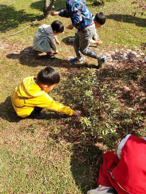 春天的故事（播种与人生）
