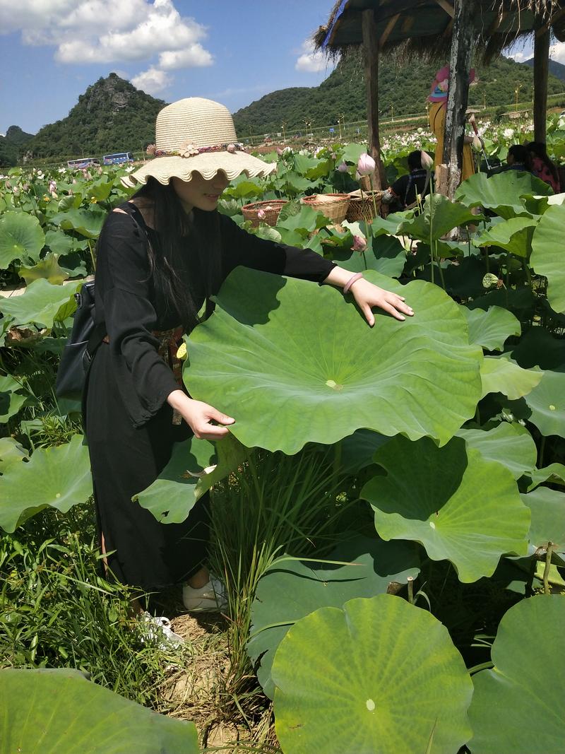 冲破云霄，超越梦想（从梦想到现实，关键在于行动）
