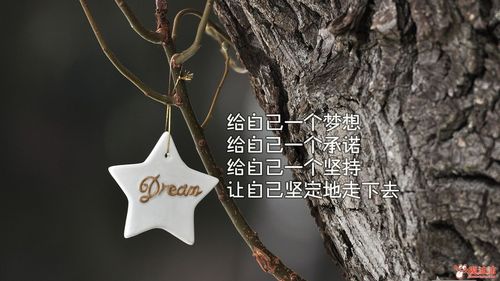 用正能量名言，激励你前行
