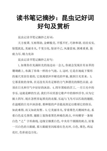 经典语录感悟生命之美（摘抄好句长唯美经典）
