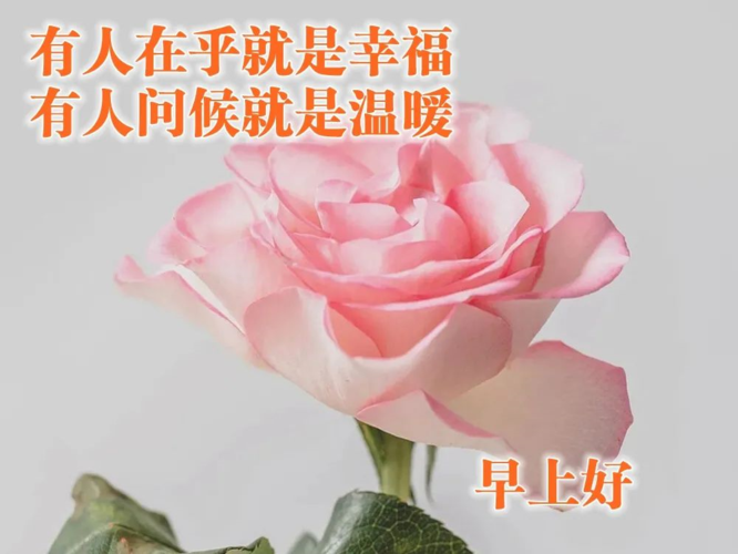 清晨的诗意，唯美的祝福（25个早上好短句，送给你最真挚的祝福）
