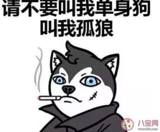 早上搞笑幽默，让一天从笑容开始（搞笑句子给你好心情）
