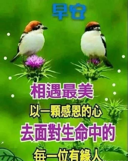 早安，世界的美好。——以早上发朋友圈的问候语温馨句子为主题
