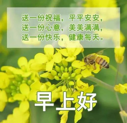 清晨之美（用心感受、用文字记录）
