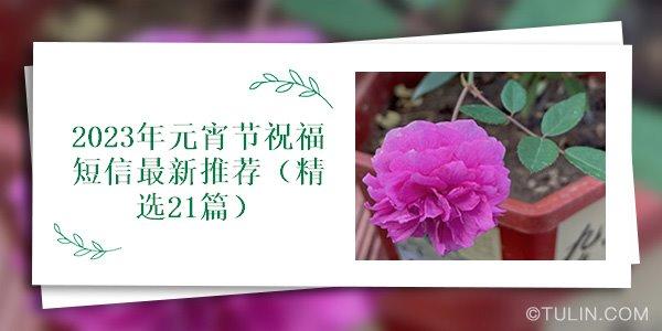 2023元宵节祝福短信：唯美祝福，传递爱意
