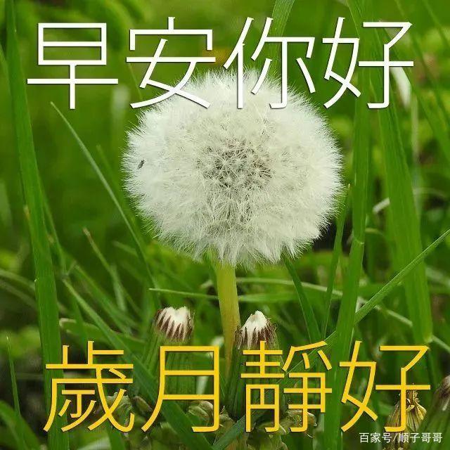 以美丽的短语祝福新的一天
