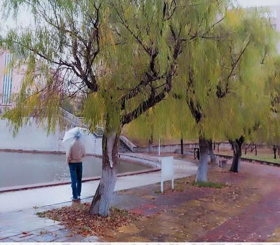 淡淡的秋雨，点缀了人生（时光流转，岁月静好）
