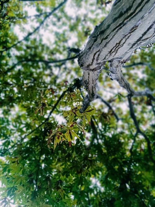 《秋雨一场寒，寂静的心情》
