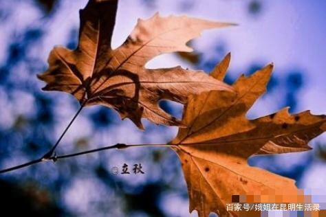 《秋雨寒》：一场带来灵魂震撼的秋雨
