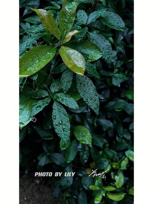 《秋雨寒》：一场带来灵魂震撼的秋雨
