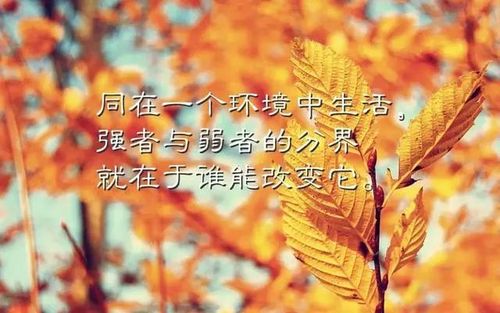 人生之美，皆在选择；经典之美，皆在经历。
