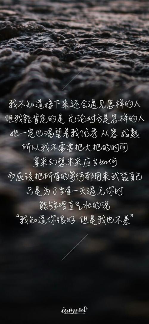 流转于兴趣之间（唯美句子的盛宴）
