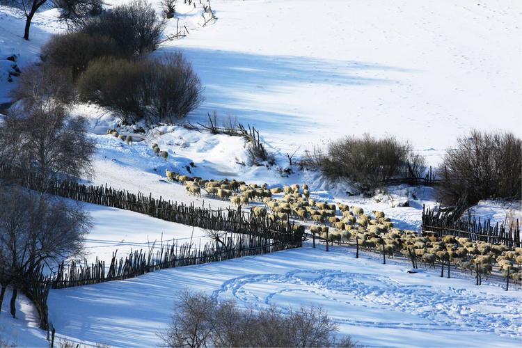 白雪皑皑，寂静无声
