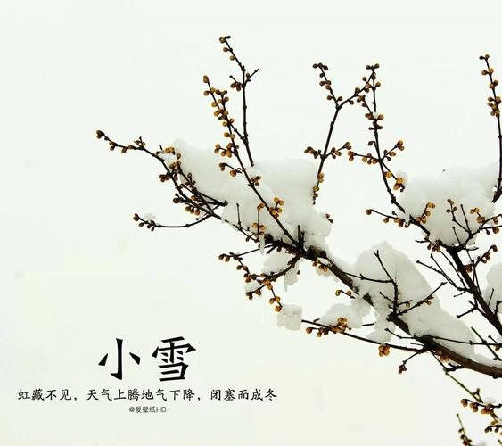 唯美祝福，共迎小雪——微信朋友圈小雪节气祝福语
