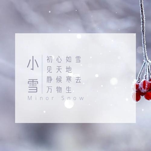 小雪的朋友圈感悟（探索自我，发现生命的美）
